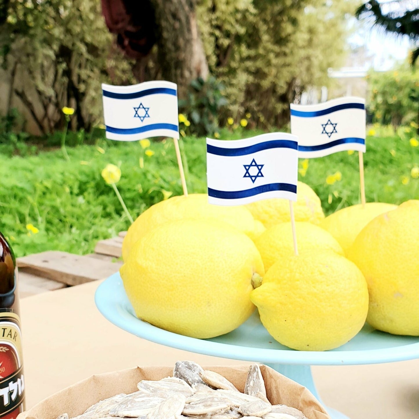קיסם דגל הטבעות עצמאות