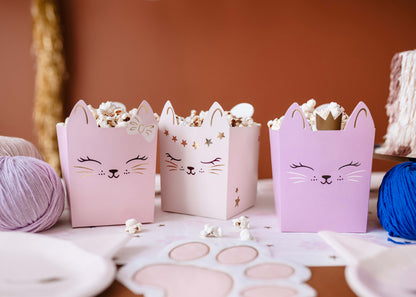 Party Deco - Cat Snack Boxes, Mixed: 1pkt/3pc. - תמונה 3